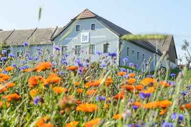 Vorderansicht des Frei-Hof mit blühenden Permakultur-Garten | © SONNENTOR