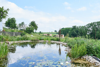 Regenwasser-Speicherteich des Frei-Hofs mit Blick zu den Land-Lofts | © SONNENTOR/@nudlholz.at