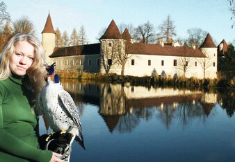 Ausflugsziel Schloss Waldreichs und Greifvogelzentrum | © Greifvogelzentrum