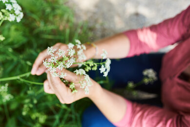 Blumen und Kräuter bewundern am Kräuterwanderweg | © SONNENTOR/@nudlholz.at