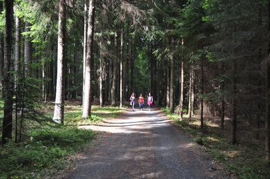 Gemeinsame Auszeit am Kräuterwanderweg | © SONNENTOR