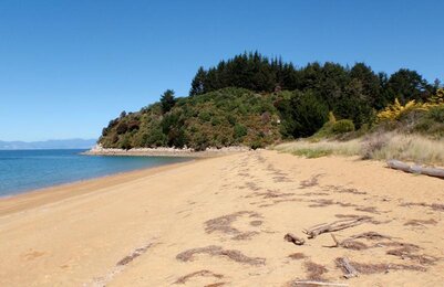 Foto von der Landschaft in Neuseeland am Meer. | © SONNENTOR