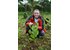 Photo of a man with a turmeric plant.