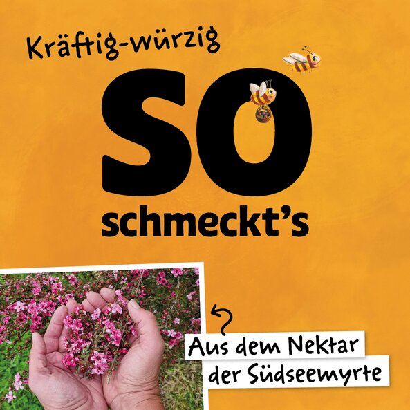 Illustration mit Bienen und Foto von Südseemyrte auf orangem Hintergrund mit dem Schriftzug: "so schmeckts kräfig-würzig".