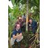The photo shows several people around a cinnamon tree.