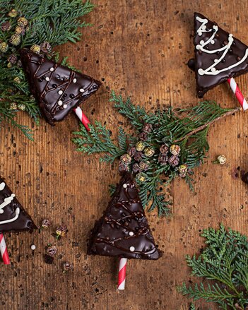 Auf dem Foto sind mehrere Brownie-Bäumchen mit Schokoglasur zu sehen. Zwischen den Bäumen sind Zweige zu sehen. | © SONNENTOR