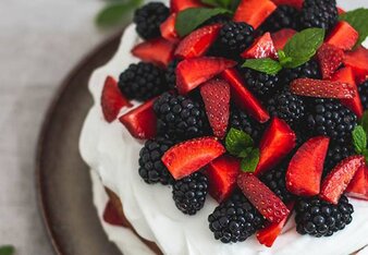 Auf dem Foto ist eine Kardamom Torte mit Topfen zu sehen. Als Topping wurden frische Früchte verwendet. | © SONNENTOR