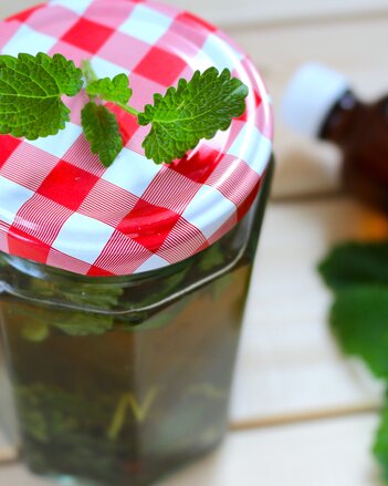 Auf dem Foto ist ein Glas mit Melissengeist zu sehen. Auf dem Glas liegt ein Melissenzweig. | © SONNENTOR