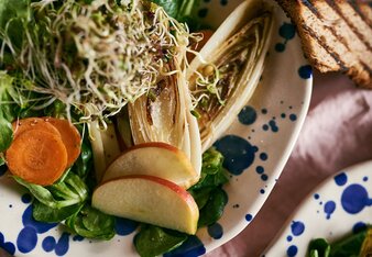 Foto von einer bunten Salatschüssel mit Sprossen, Karotte, Vogerlsalat und Apfel. | © SONNENTOR