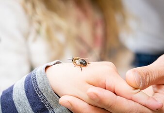 Verein zur Förderung einer enkeltauglichen Umwelt in Österreich | © SONNENTOR