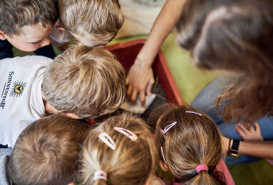 Auf dem Foto sieht man, wie die Kinder in den Wurmkompost schauen. | © SONNENTOR