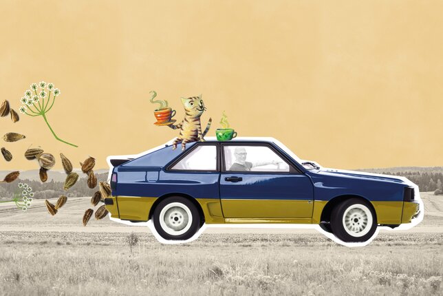 Auf dem Foto sieht man Hannes in einem 1993 Audi Quattro in den Farben blau/beige, aus dem Auspuff kommt Kümmel und Blumen. Das ganze ist eine Collage.  | © SONNENTOR