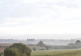 Landschaftsfoto aus dem Waldviertel. | © SONNENTOR