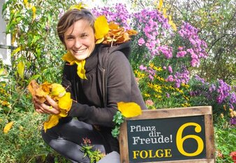 Aufdem Foto sieht man eine Frau mit jeder Menge herbstlicher Blätter. | © SONNENTOR