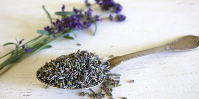 Auf dem Foto ist ein Löffel mit Lavendel zu sehen. Im Hintergrund sieht man frischen Lavendel. | © SONNENTOR