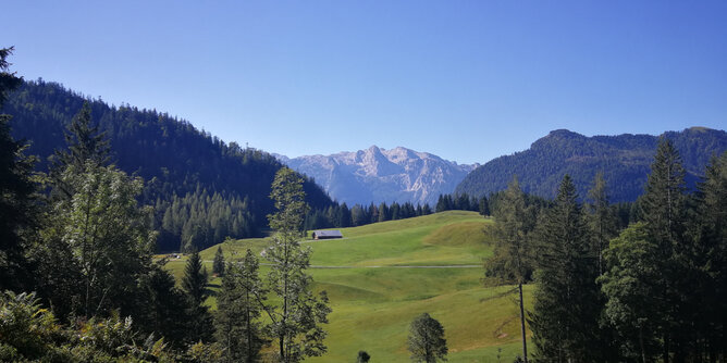 Auf dem Foto sieht man eine wunderschöne Landschaft aus Weiden, Wäldern und Bergen. | © SONNENTOR