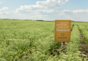 Auf dem Foto ist ein Feld mit einem Sonnentor Schild zu sehen. | © SONNENTOR